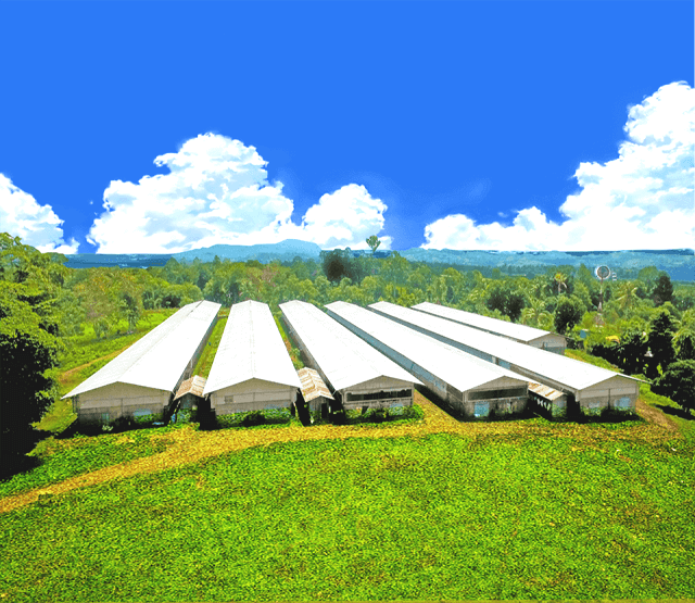 ABFI - ana's breeders farms inc
