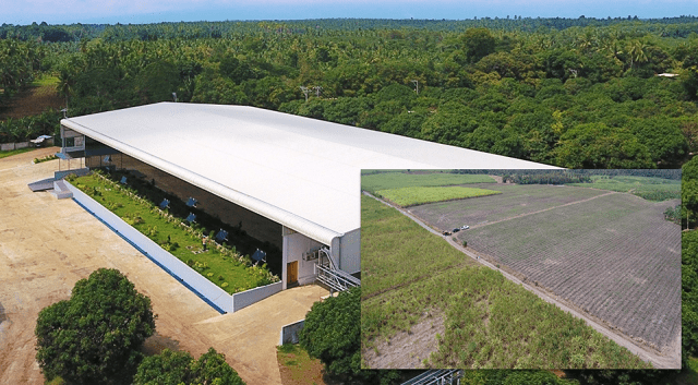 Suy Foods: Supports' Sustainable Agriculture and Improve Livelihoods in Davao City 5 dressing plant and agro-complex